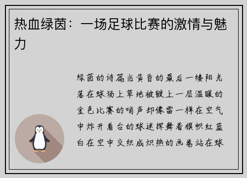 热血绿茵：一场足球比赛的激情与魅力